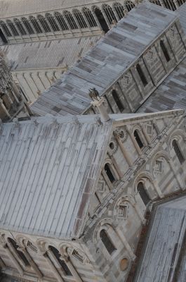 Pisa. il Grifone sul Duomo.
Geometrizzazione compositiva. L'inclinazione dell'inquadratura serve a questo gioco d'impaginazione per dare al grifone di Palermo una centralità  tensiva che si svinvola dall'imperio ortogonale dei bordi.