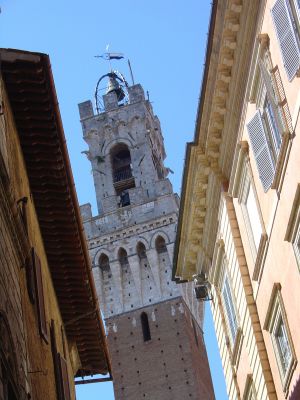 Siena, Torre del Mangia.
Smarrimento del riferimento. L'inclinazione dell'inquadratura accentua la perdita della sicurezza dei piani di riferimento spaziali.